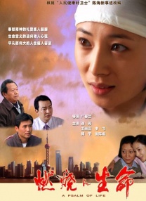 两岸之间的联系不仅是血脉相连，更是心意相通。