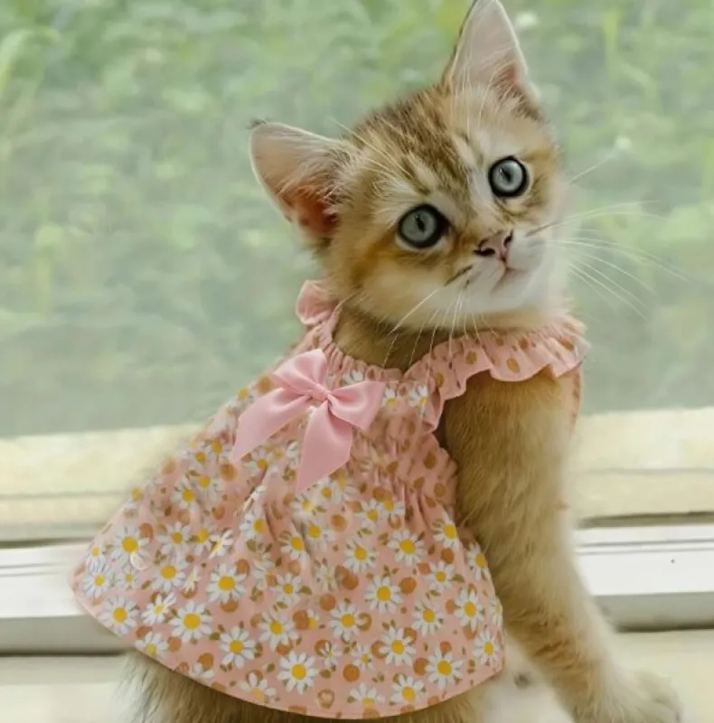 Romantic Style Dog & Cat Dress with Floral Print