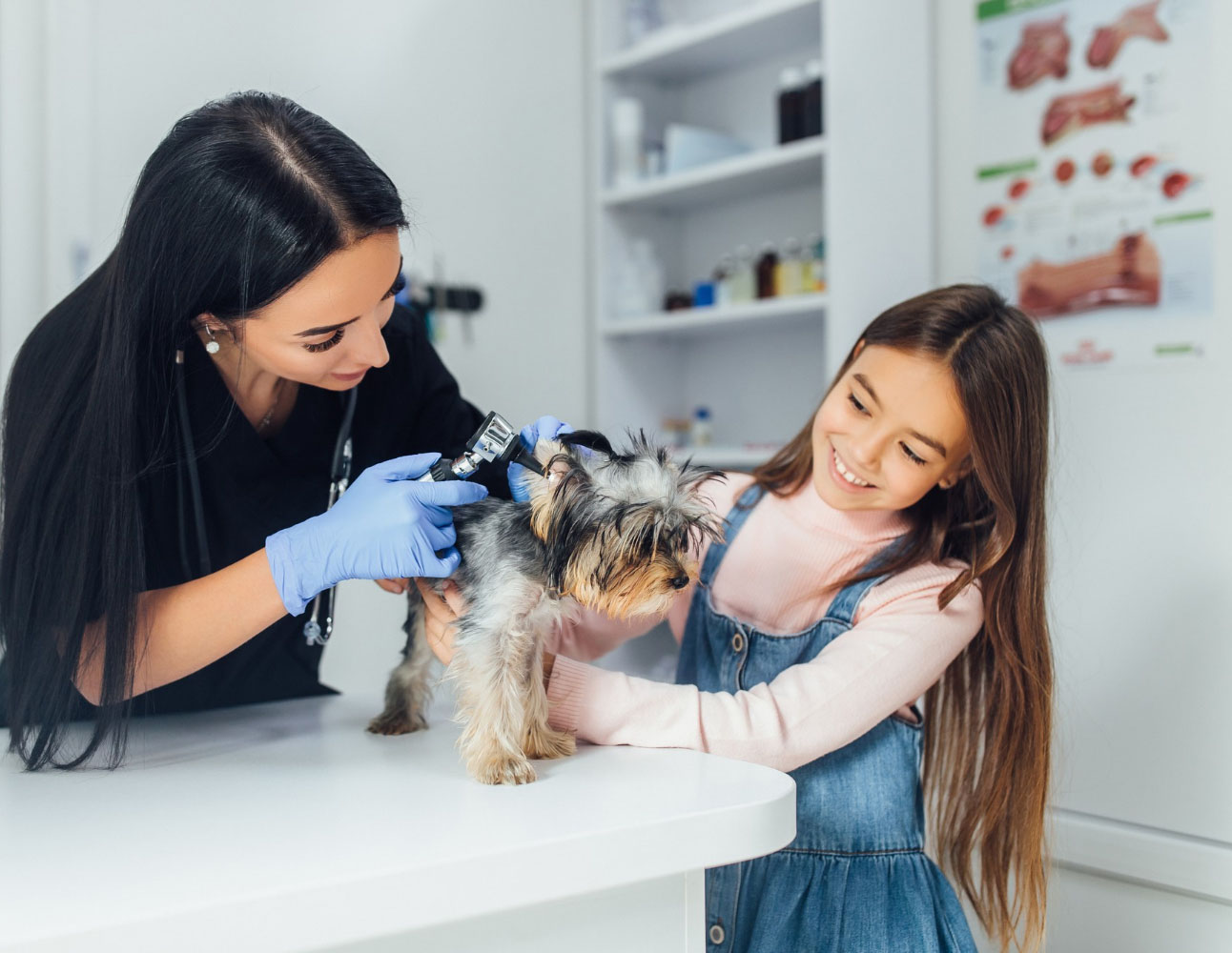 Pet Jungle Newsletter